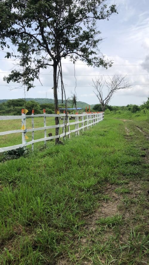 Lote en venta en La Caba�A, Barranquilla · foto 11 de 17
