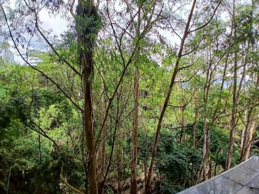 Apartamento de 4 alcobas en venta en Loma De Los Gonzalez, Medellín, 246 m² · foto 21 de 24