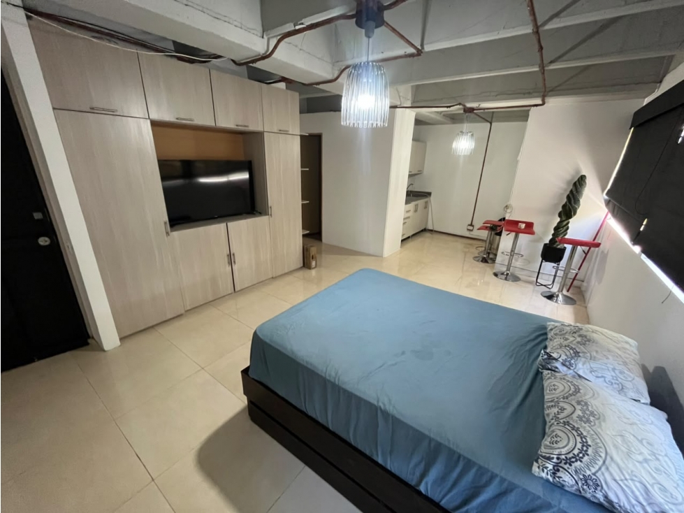 1BR Apartment in Vizcaya (40 m²) - 2