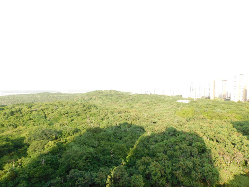 Apartamento en arriendo en Cr.La Castellana, Barranquilla · foto 8 de 23