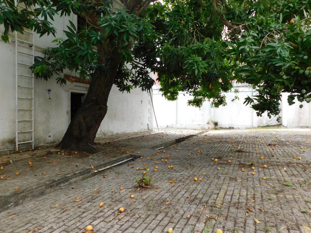 Casa en venta en El Prado, Barranquilla · foto 16 de 17