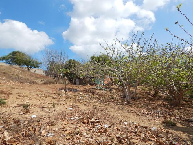 Lote en venta en Puerto Colombia, Puerto Colombia, 9 m² · foto 16 de 18