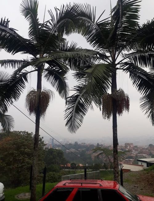 Casa en venta en Las Antillas, Envigado · foto 19 de 24