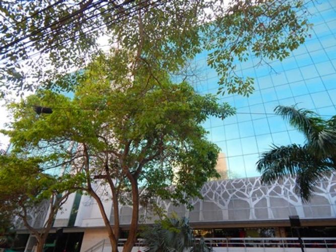 Local en arriendo en El Prado, Barranquilla, 294 m² · foto 2 de 18