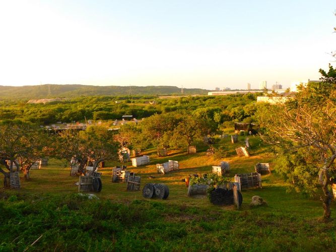 Lote en venta en Pastoral Social, Barranquilla, 100000 m² · foto 2 de 5