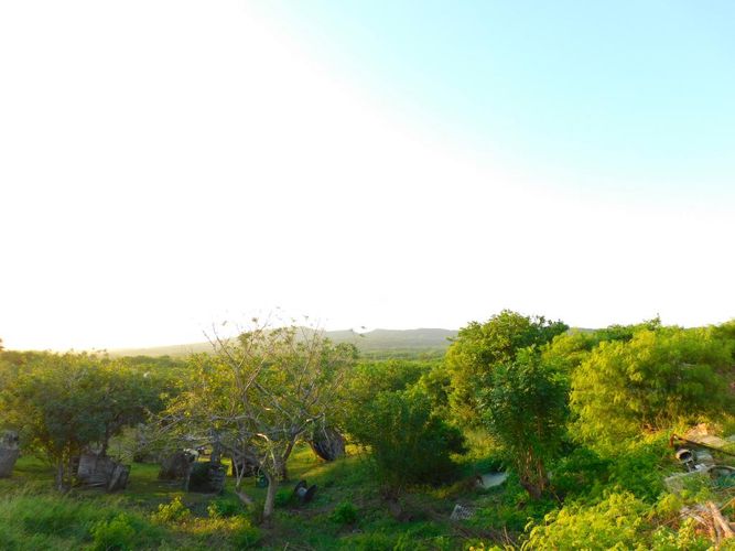 Lote en venta en Pastoral Social, Barranquilla, 100000 m² · foto 3 de 5