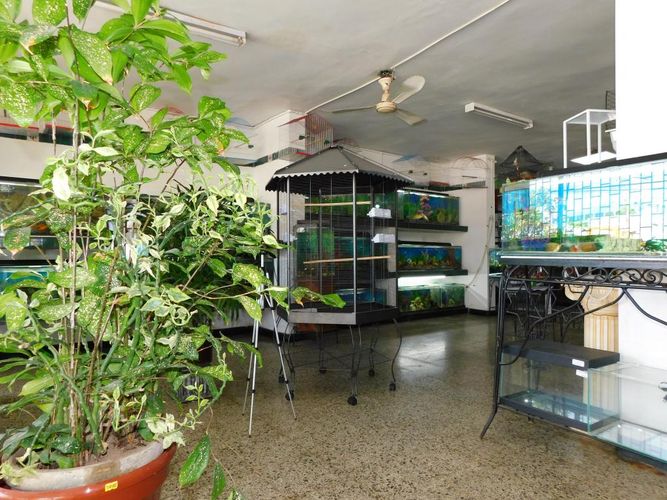 Local en venta en Colombia, Barranquilla, 380 m² · foto 2 de 16