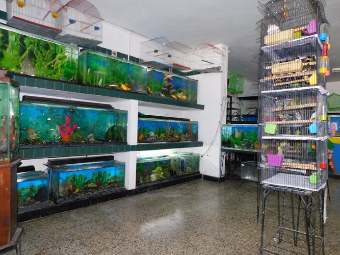 Local en venta en Colombia, Barranquilla, 380 m² · foto 4 de 16