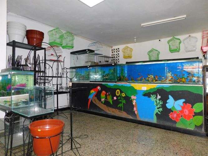 Local en venta en Colombia, Barranquilla, 380 m² · foto 7 de 16