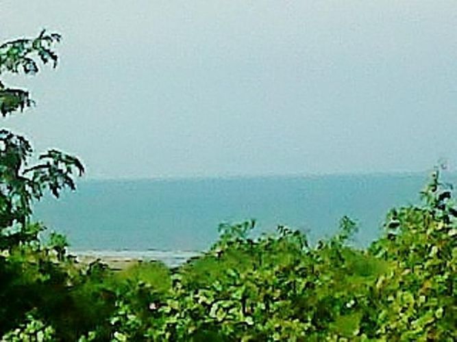 Lote en venta en El Carmen, Barranquilla, 40000 m² · foto 8 de 11