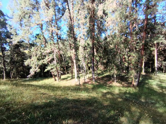 Lote en venta en Vía Las Palmas, Envigado, 7062 m² · foto 5 de 18