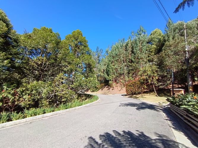 Lote en venta en Vía Las Palmas, Envigado, 7062 m² · foto 13 de 18