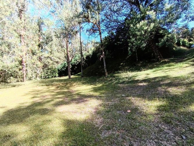 Lote en venta en Vía Las Palmas, Envigado, 7062 m² · foto 6 de 18