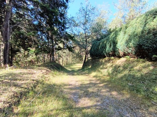 Lote en venta en Vía Las Palmas, Envigado, 7062 m² · foto 8 de 18