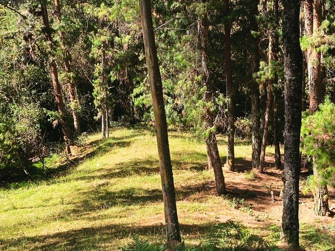Lote en venta en Vía Las Palmas, Envigado, 7062 m² · foto 15 de 18