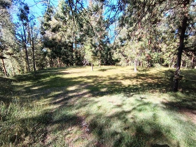 Lote en venta en Vía Las Palmas, Envigado, 7062 m² · foto 10 de 18