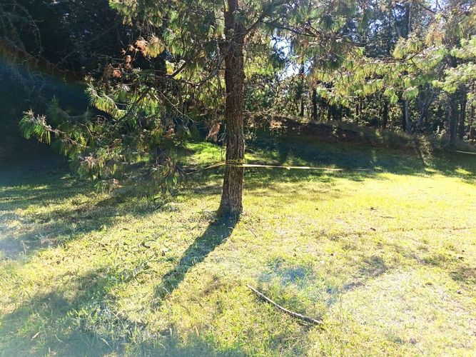 Lote en venta en Vía Las Palmas, Envigado, 7062 m² · foto 14 de 18
