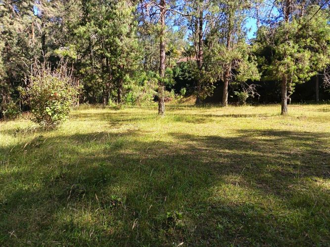 Lote en venta en Vía Las Palmas, Envigado, 7062 m² · foto 2 de 18