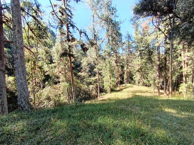 Lote en venta en Vía Las Palmas, Envigado, 7062 m² · foto 11 de 18