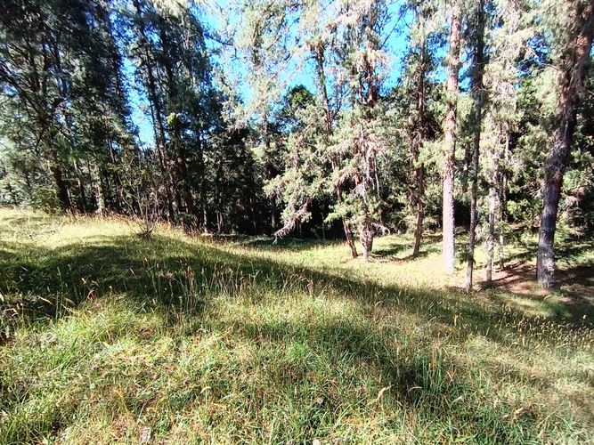 Lote en venta en Vía Las Palmas, Envigado, 7062 m² · foto 12 de 18
