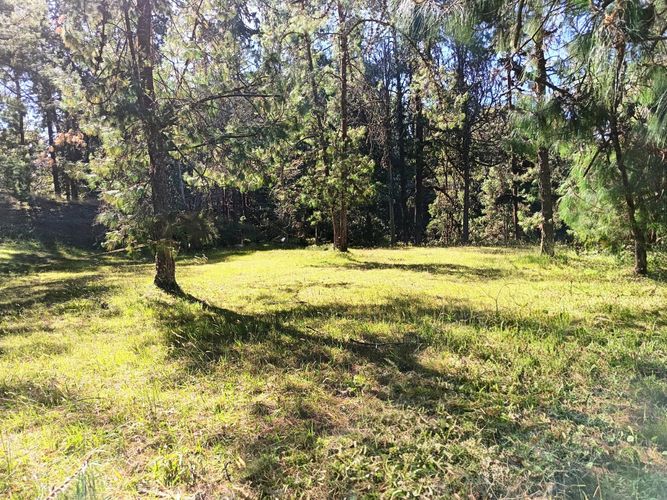Lote en venta en Vía Las Palmas, Envigado, 7062 m² · foto 16 de 18