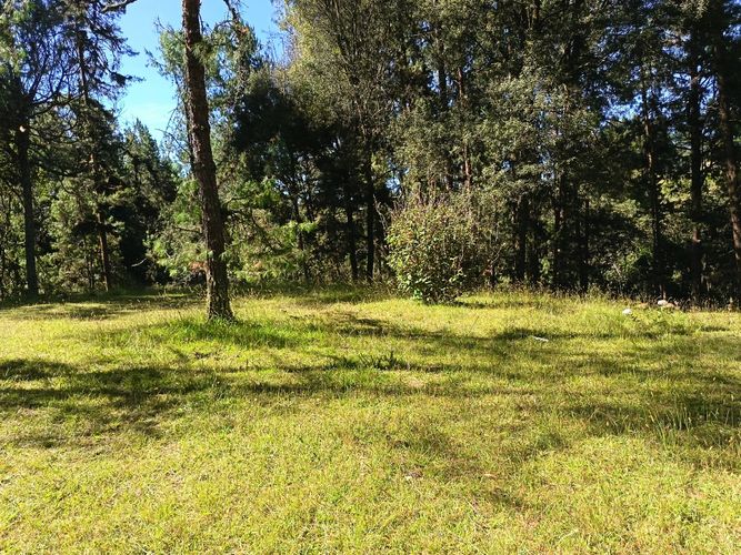 Lote en venta en Vía Las Palmas, Envigado, 7062 m² · foto 17 de 18