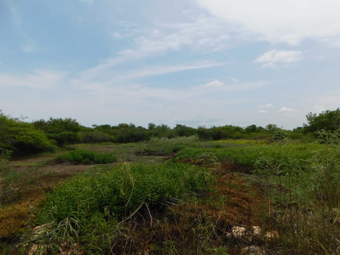 Lote en venta en Manzanillo, Cartagena, 4544 m² · foto 3 de 8