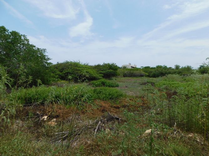 Lote en venta en Manzanillo, Cartagena, 4544 m² · foto 4 de 8