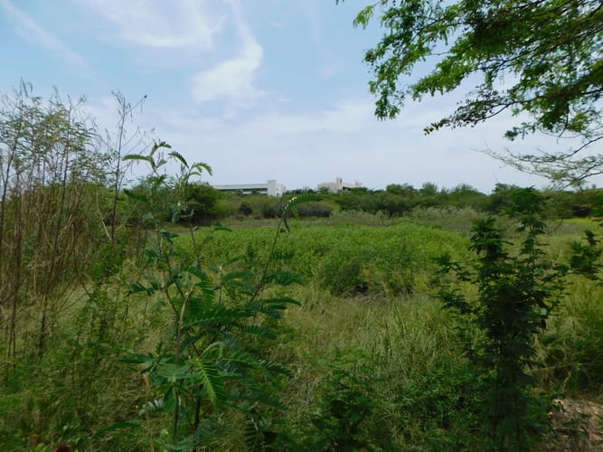 Lote en venta en Manzanillo, Cartagena, 4544 m² · foto 5 de 8