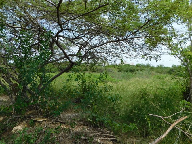 Lote en venta en Manzanillo, Cartagena, 4544 m² · foto 6 de 8