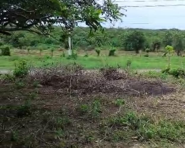 Lote en venta en Arroyo De Piedra, Cartagena, 1000 m² · foto 4 de 5