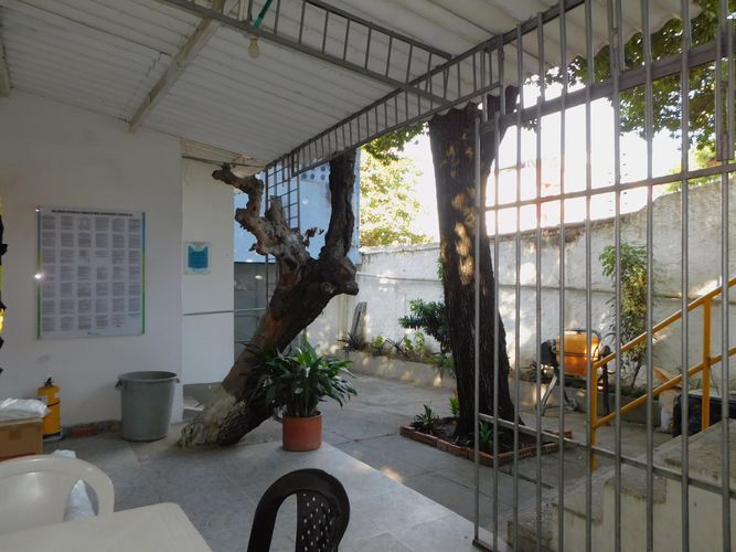 Casa en arriendo en El Bosque, Cartagena, 50 m² · foto 5 de 19