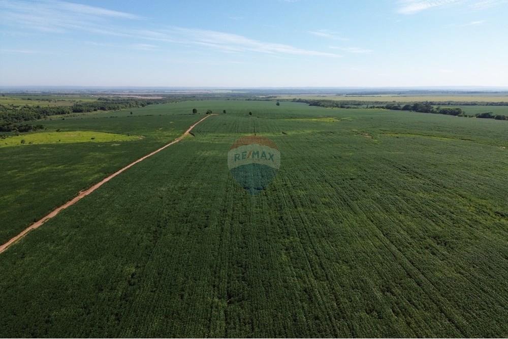 ESTANCIA AGROPECUARIA CON TERRENO DE 10.019 HECTÁREAS EN DEPARTAMENTO CAAGUAZÚ EN VENTA — foto 3