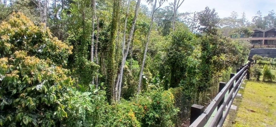Apartamento de 2 alcobas en venta en Pantanillo, El Retiro, 100 m² · foto 11 de 20