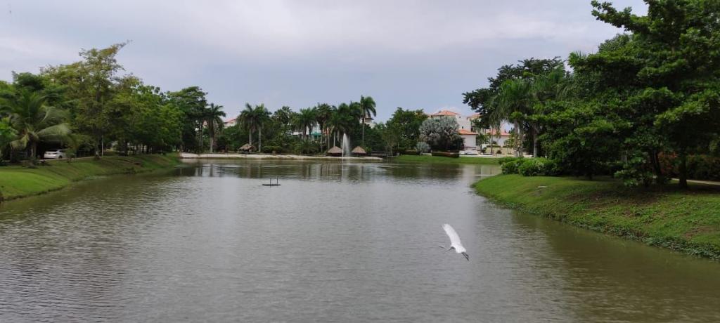 Apartamento en venta en Condominio Residencial Terranova, Cartagena · foto 2 de 17