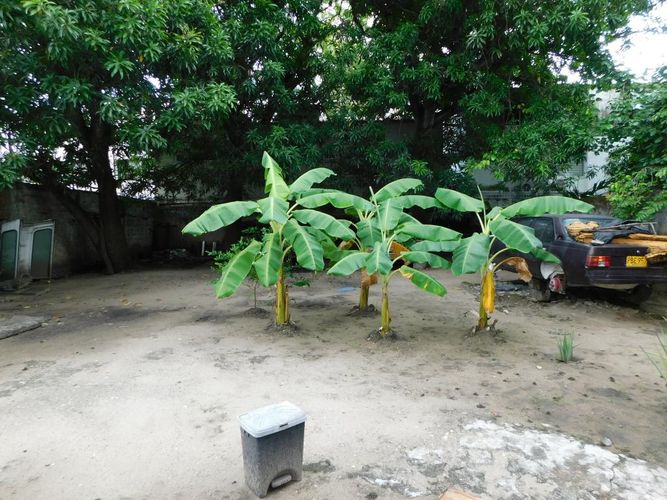 Lote en venta en Crespo, Cartagena, 823 m² · foto 4 de 8