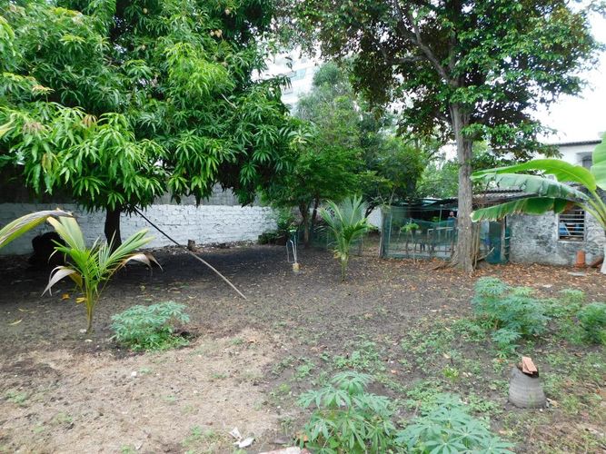 Lote en arriendo en Crespo, Cartagena, 300 m² · foto 3 de 5