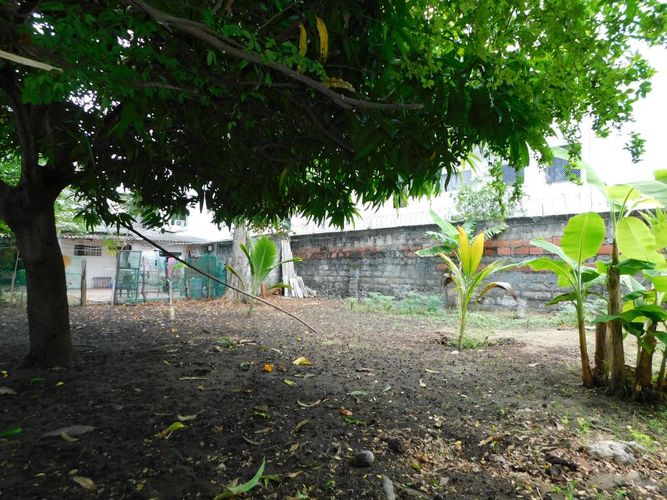 Lote en arriendo en Crespo, Cartagena, 300 m² · foto 4 de 5