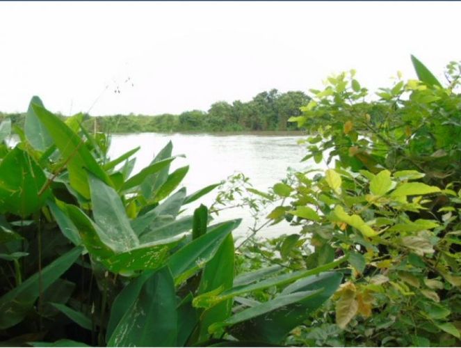 Lote en venta en Pasacaballos I, Cartagena, 23024 m² · foto 7 de 9
