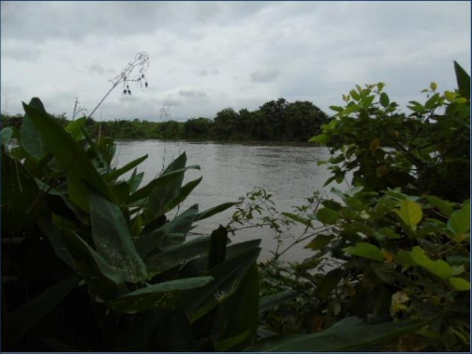 Lote en venta en Pasacaballos I, Cartagena, 23024 m² · foto 8 de 9