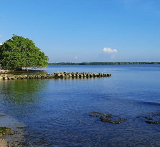 Lote en venta en Santana, Cartagena, 19980 m² · foto 2 de 11