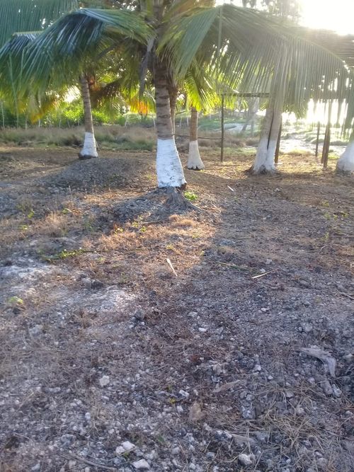 Lote en venta en Santana, Cartagena, 19980 m² · foto 6 de 11