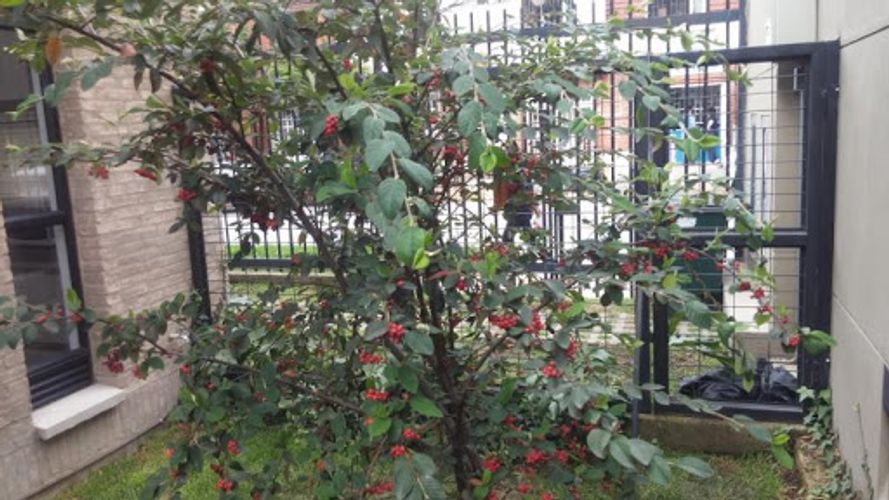 Casa de 8 alcobas en venta en Armenia, Armenia, 316 m² · foto 6 de 24