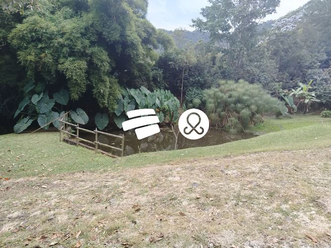 Finca en venta en Guamito, La Ceja, 14650 m² · foto 3 de 16
