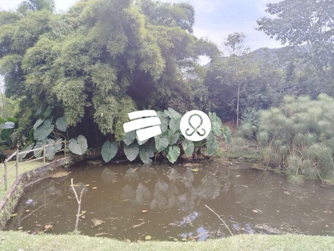 Finca en venta en Guamito, La Ceja, 14650 m² · foto 4 de 16