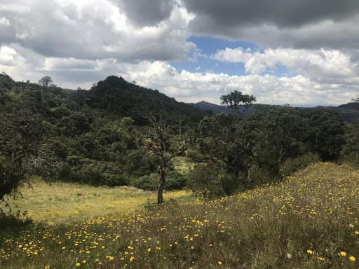 Lote en venta en Flandes, La Calera · foto 3 de 13