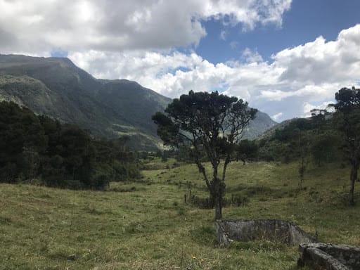 Lote en venta en Flandes, La Calera · foto 4 de 13