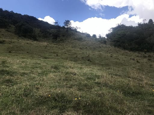 Lote en venta en Flandes, La Calera · foto 6 de 13