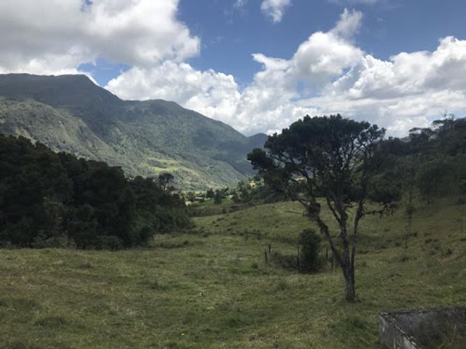Lote en venta en Flandes, La Calera · foto 7 de 13
