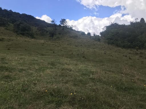 Lote en venta en Flandes, La Calera · foto 8 de 13